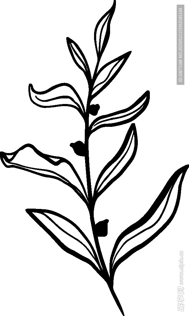 手绘简约植物枝叶图案