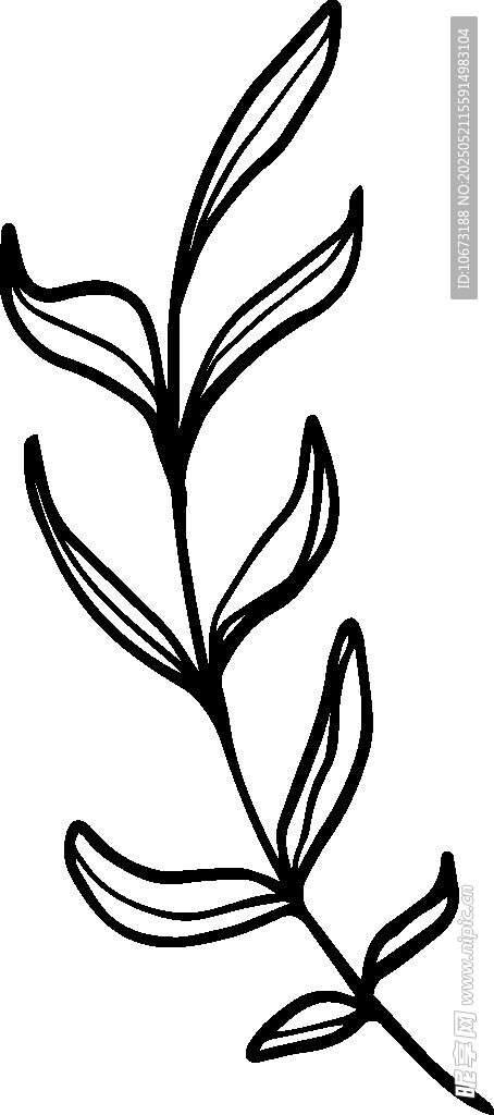 简约线条植物枝叶图案