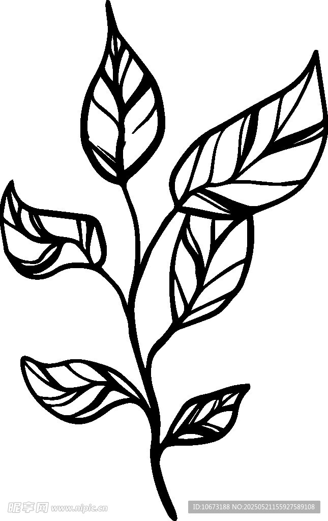 简约手绘植物枝叶图案