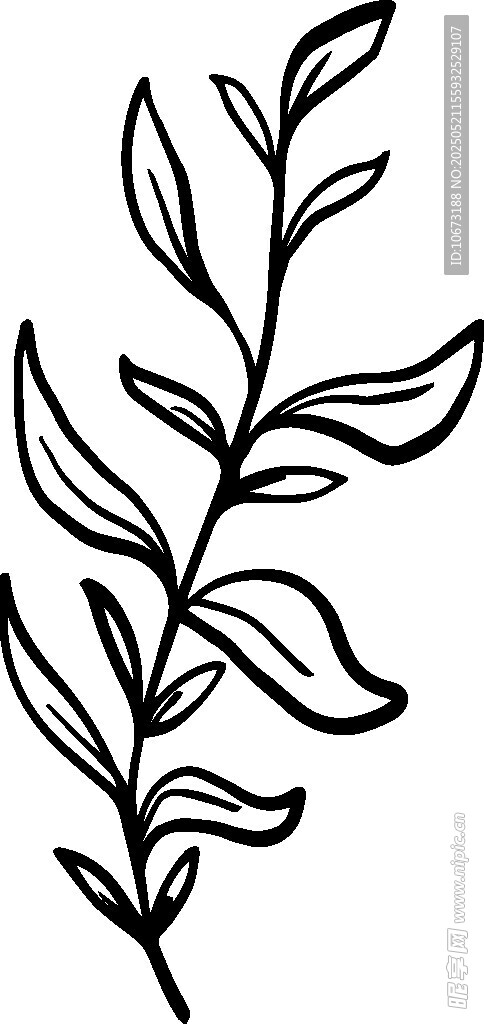 简约手绘植物枝叶图案