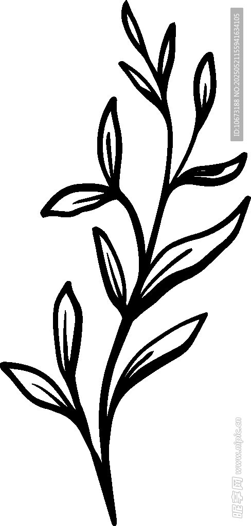 简约手绘植物枝叶图案