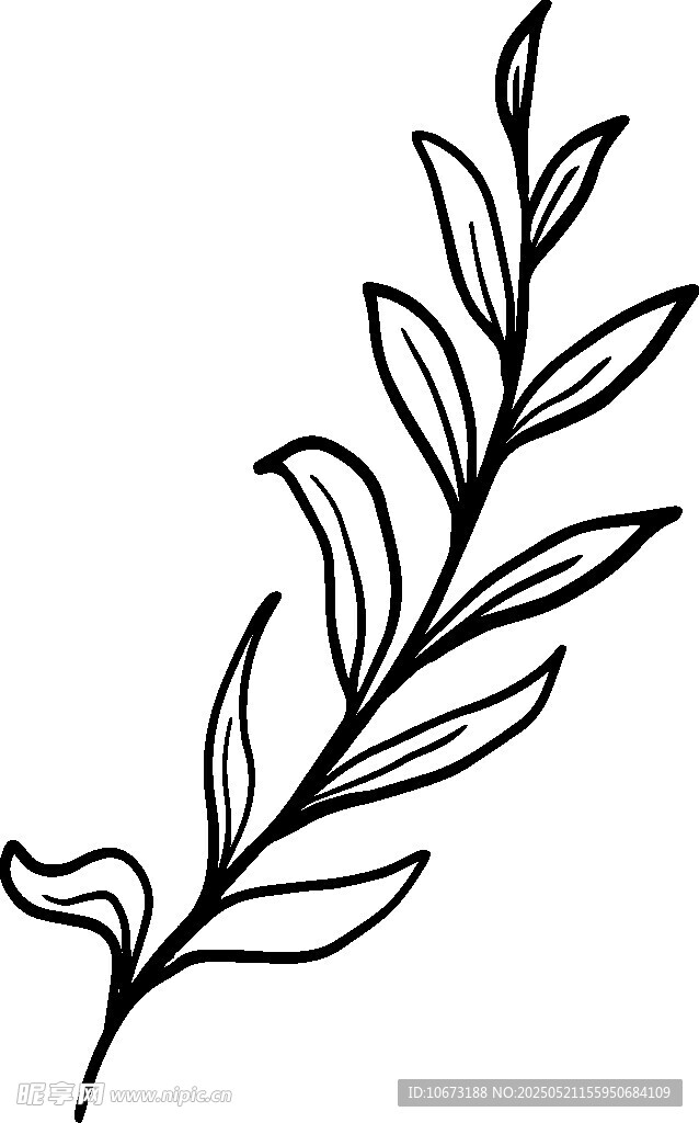 简约手绘植物枝叶线条图