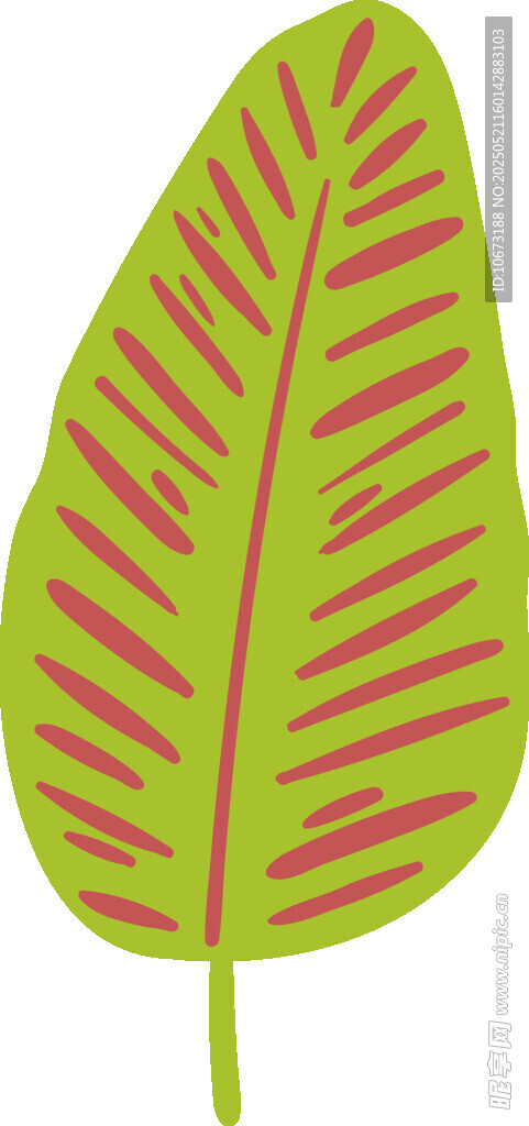 绿色带纹叶片插画