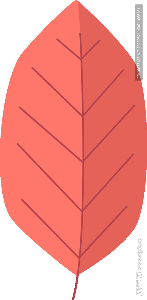 红色叶片插画