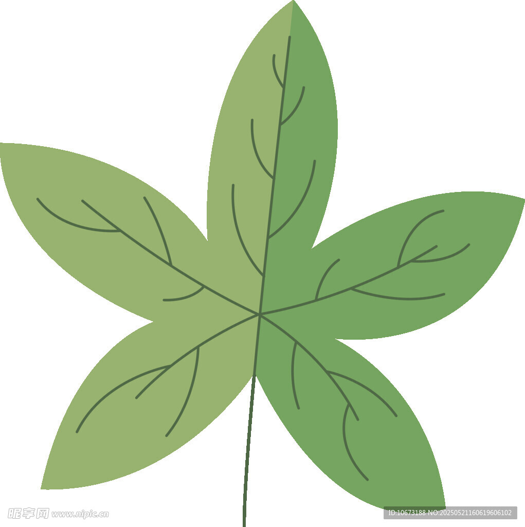五瓣绿叶插画