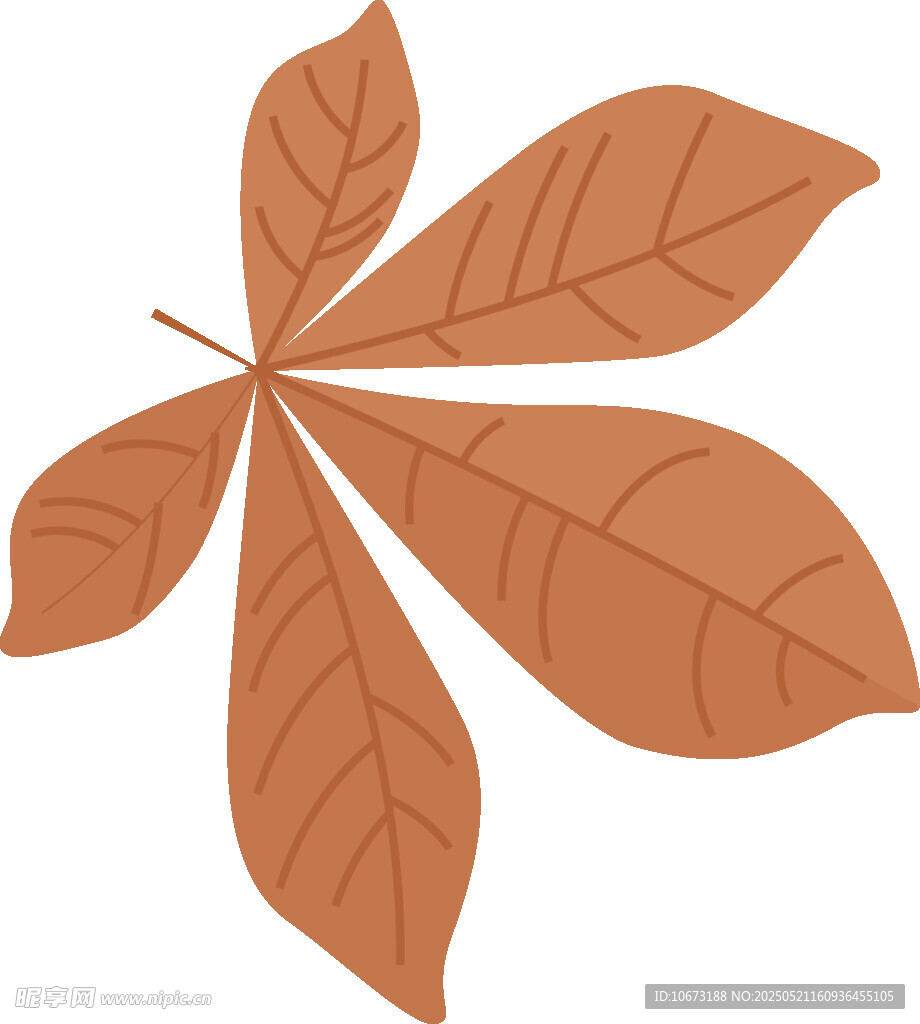 五瓣棕叶插画
