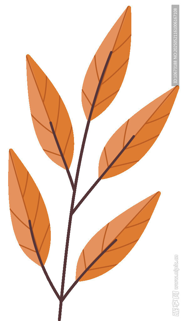 橙色叶片植物插画素材