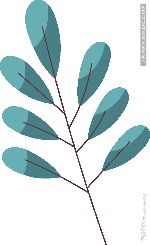 蓝绿色叶片植物插画