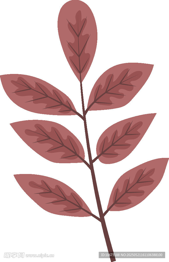 红色叶片植物插画