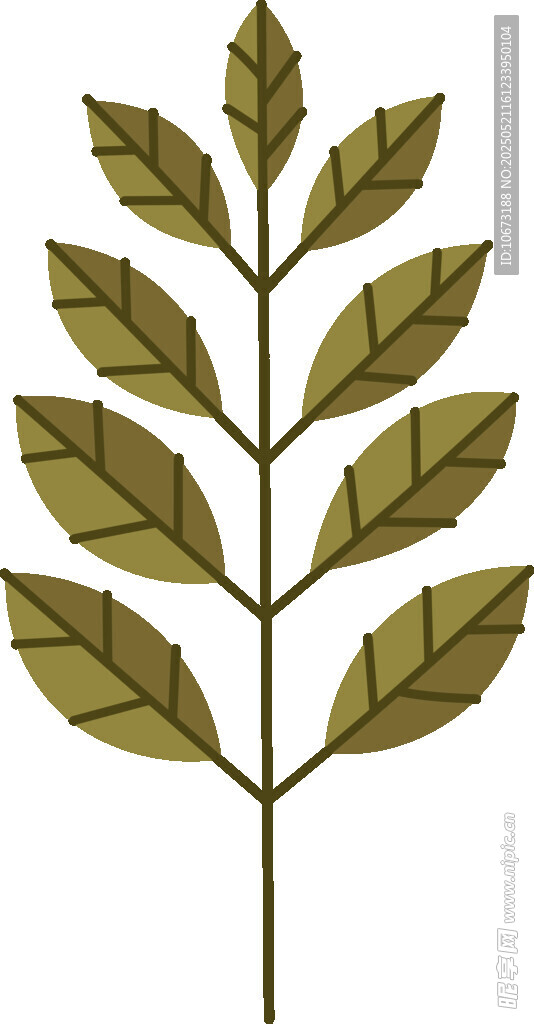 简约风格绿叶植物插画