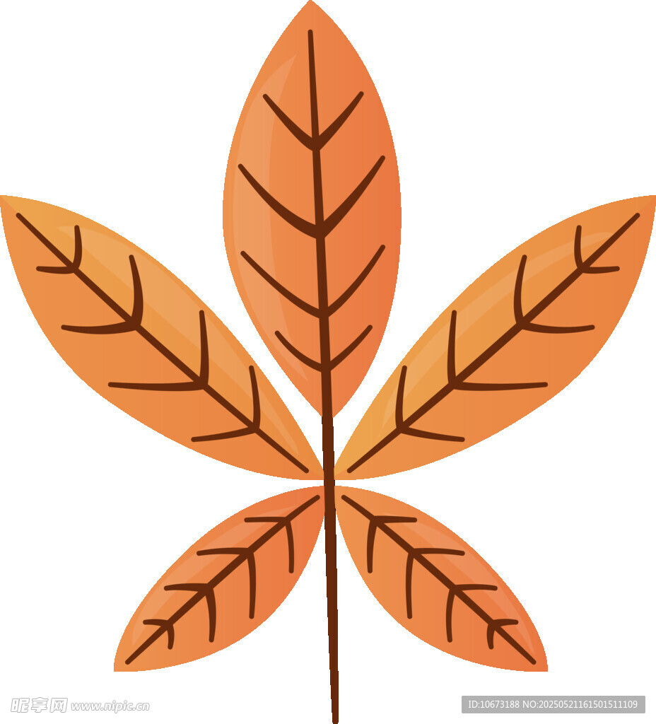 五片橙色叶片插画图案