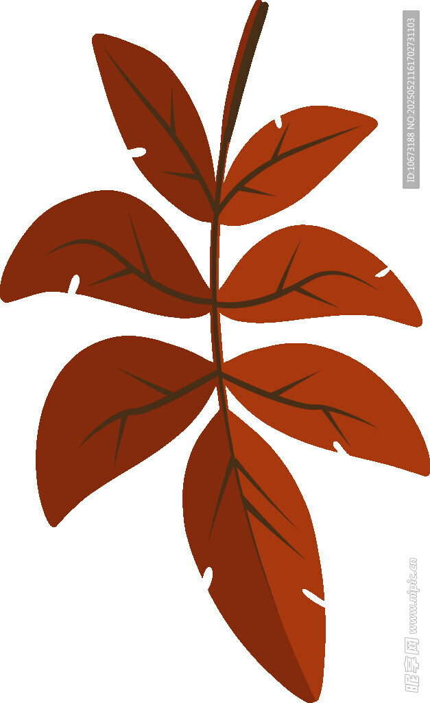 红色羽状复叶植物叶片