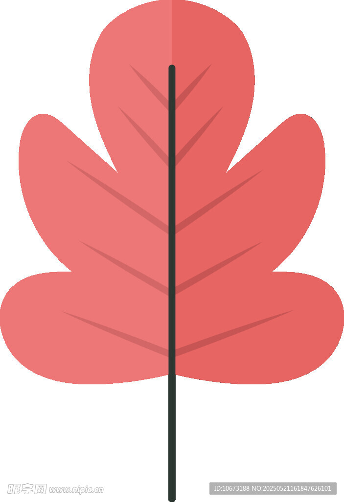 红色枫叶插画
