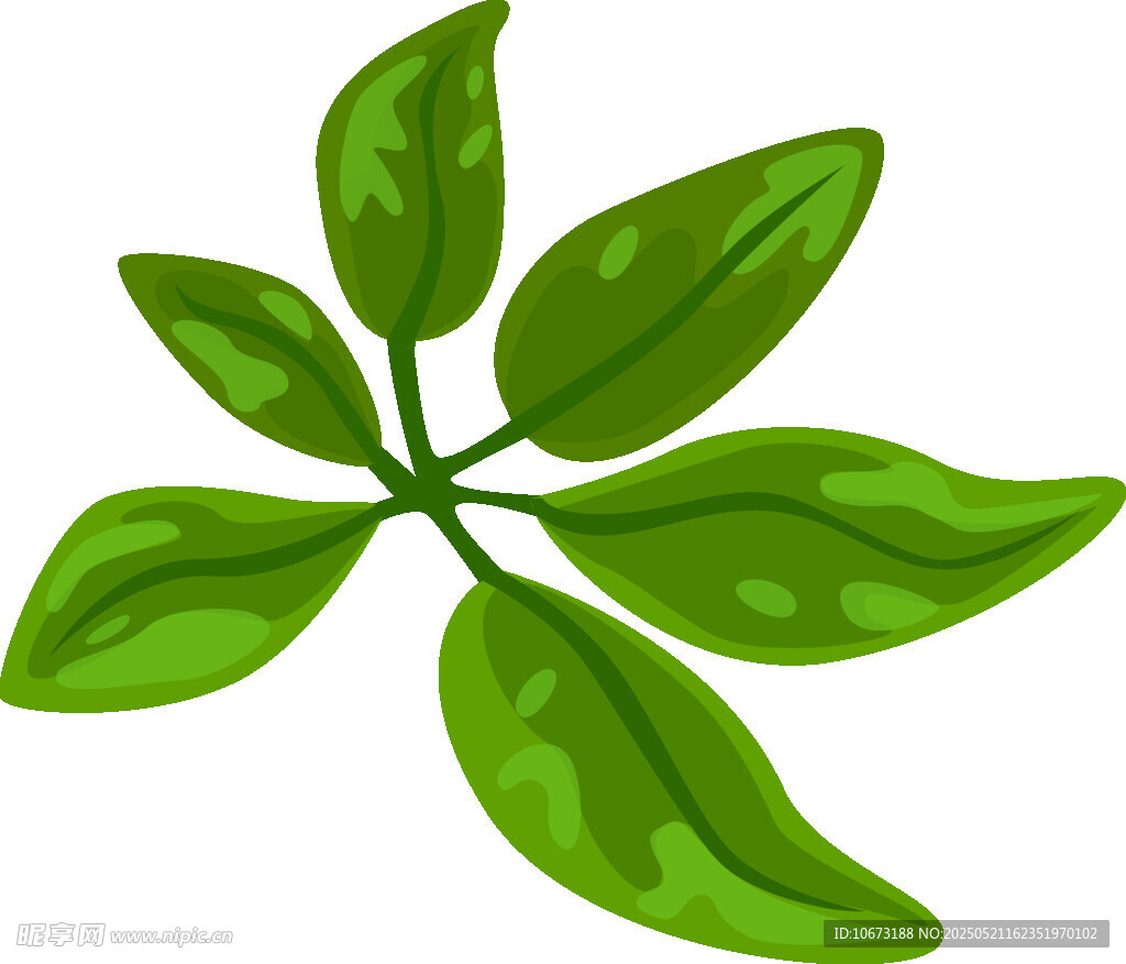 绿色五片叶植物插画