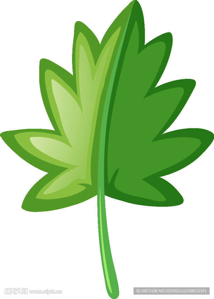 绿色卡通风格单叶片