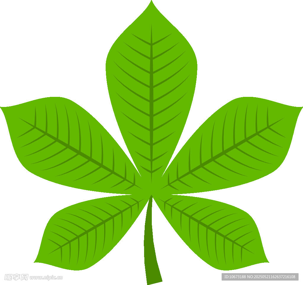 五片绿叶植物图案
