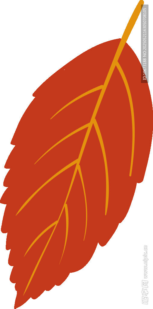 红色叶片插画
