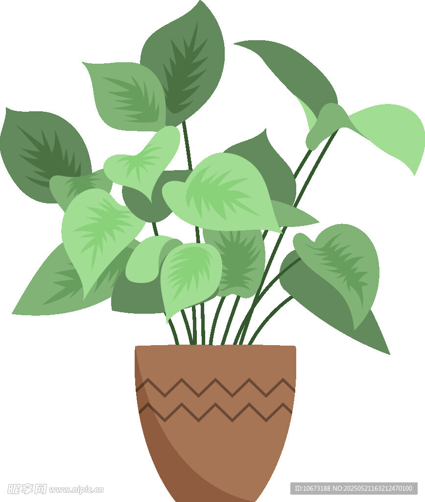 盆栽绿植 清新室内小植物