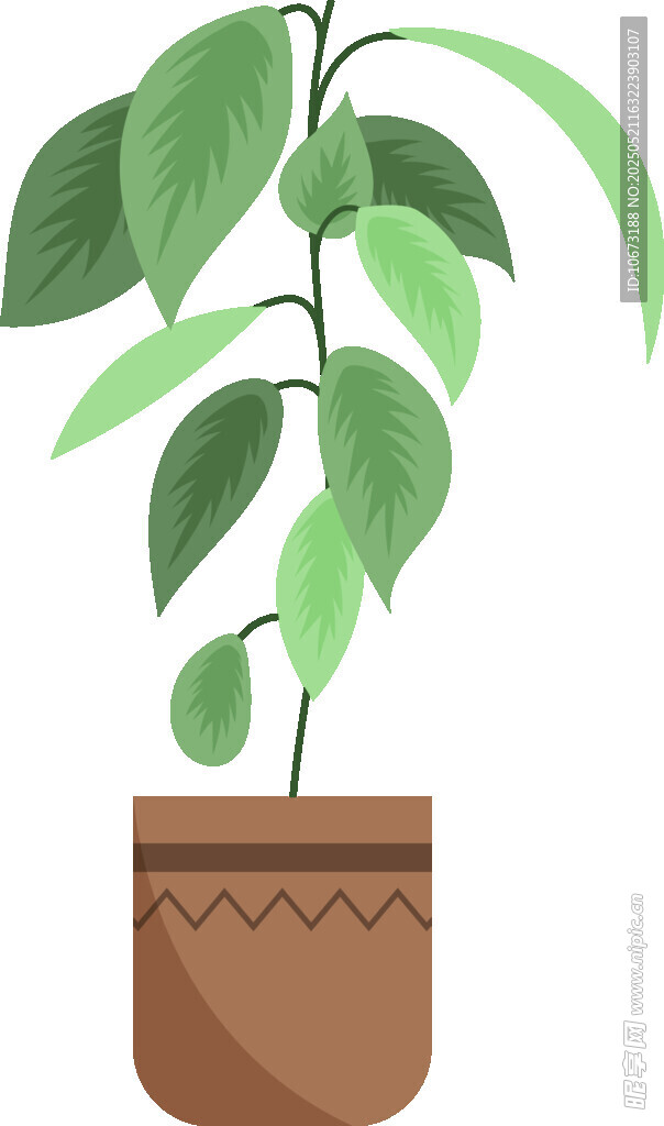 盆栽绿植 清新室内小植物