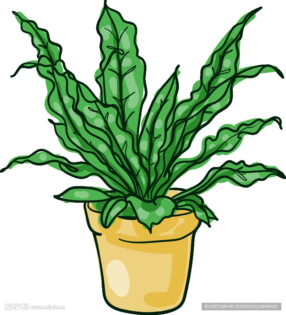 盆栽绿植 清新室内小植物