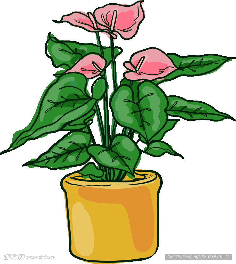 盆栽粉掌插画