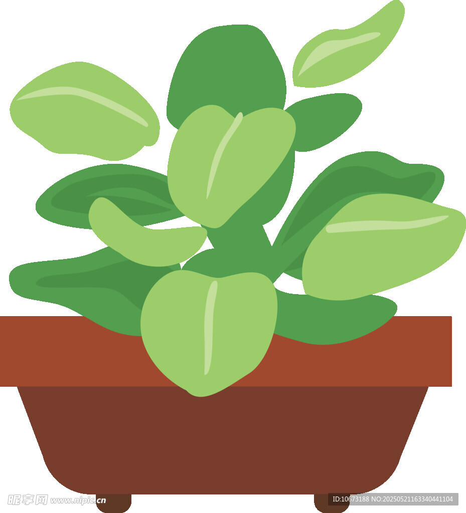 盆栽绿植插画