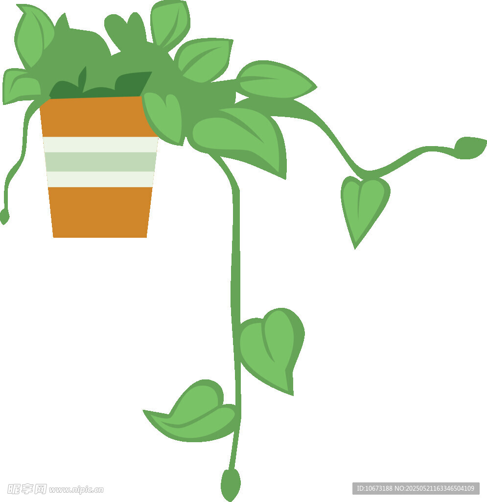 悬挂绿植盆栽
