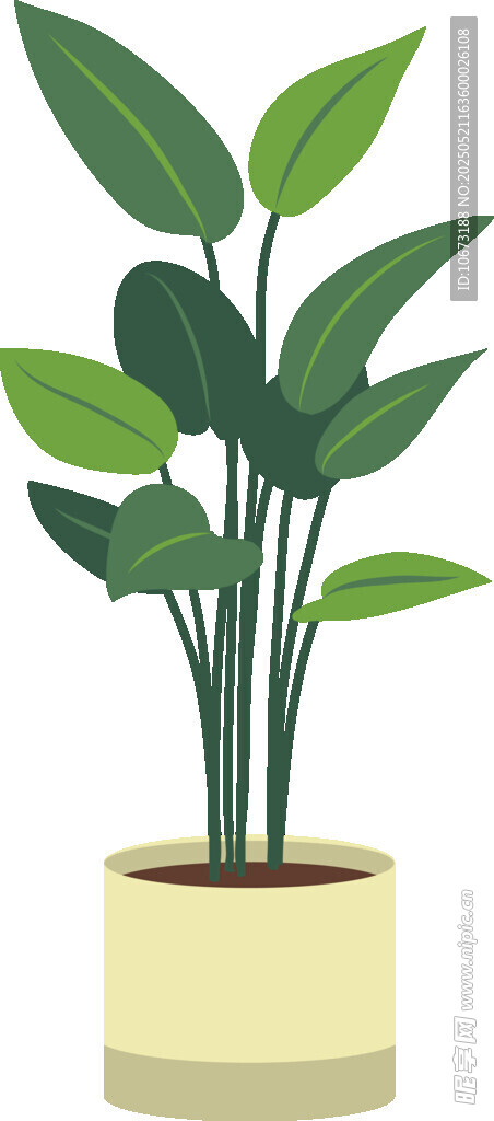 简约盆栽绿植室内装饰图