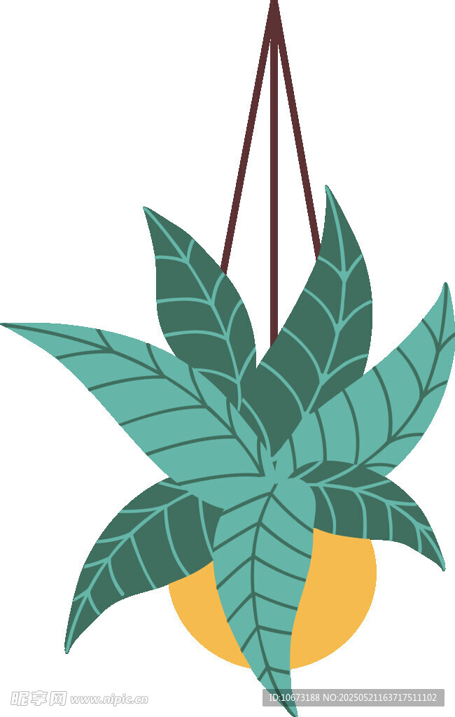 悬挂绿植盆栽插画