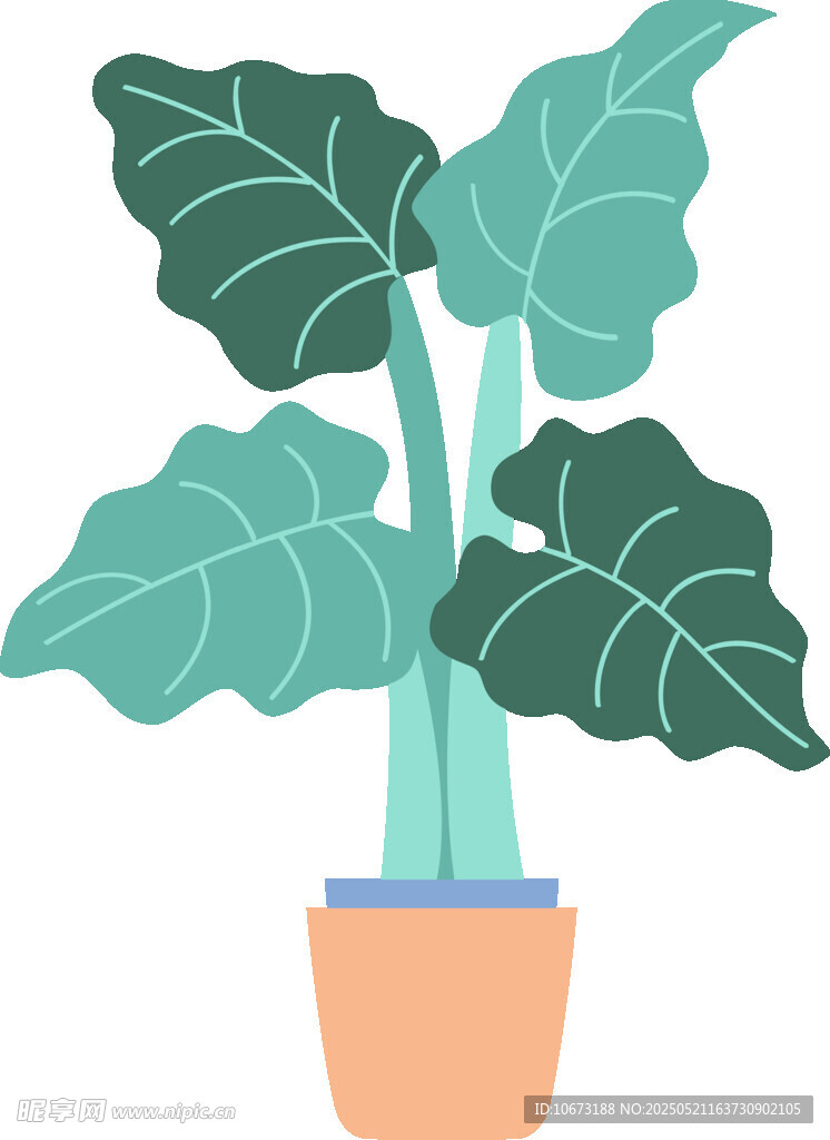 盆栽绿植插画