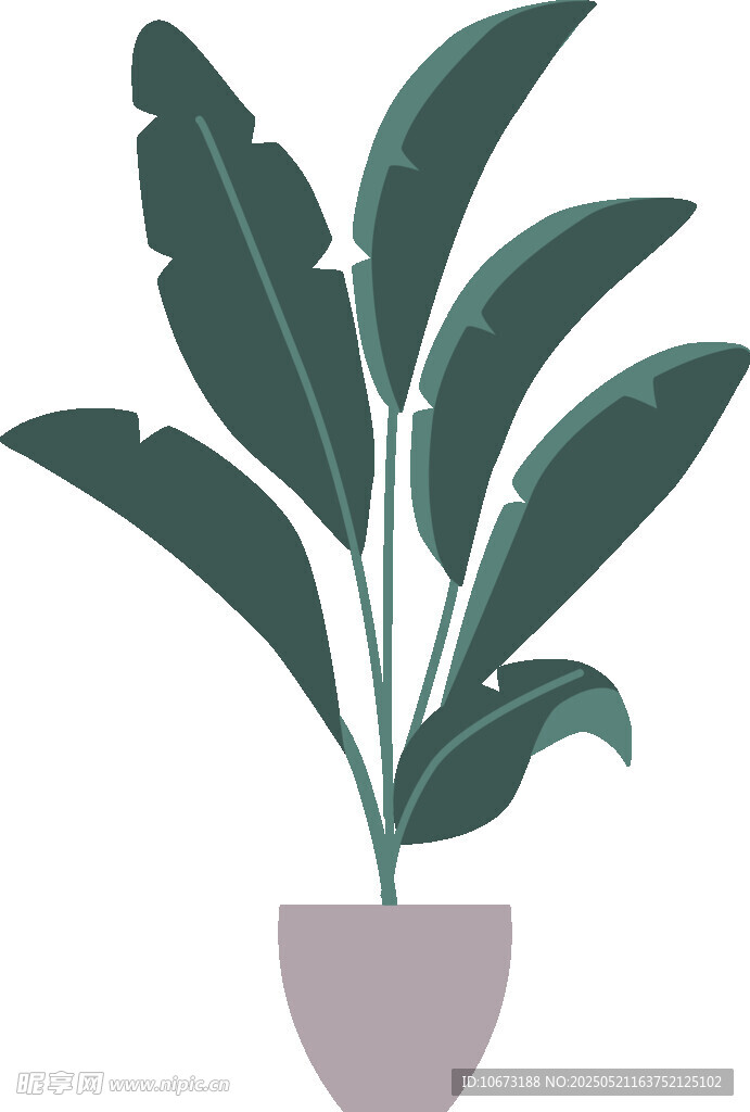 盆栽绿植插画