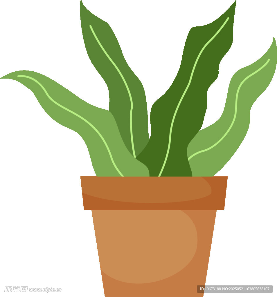 盆栽绿植插画