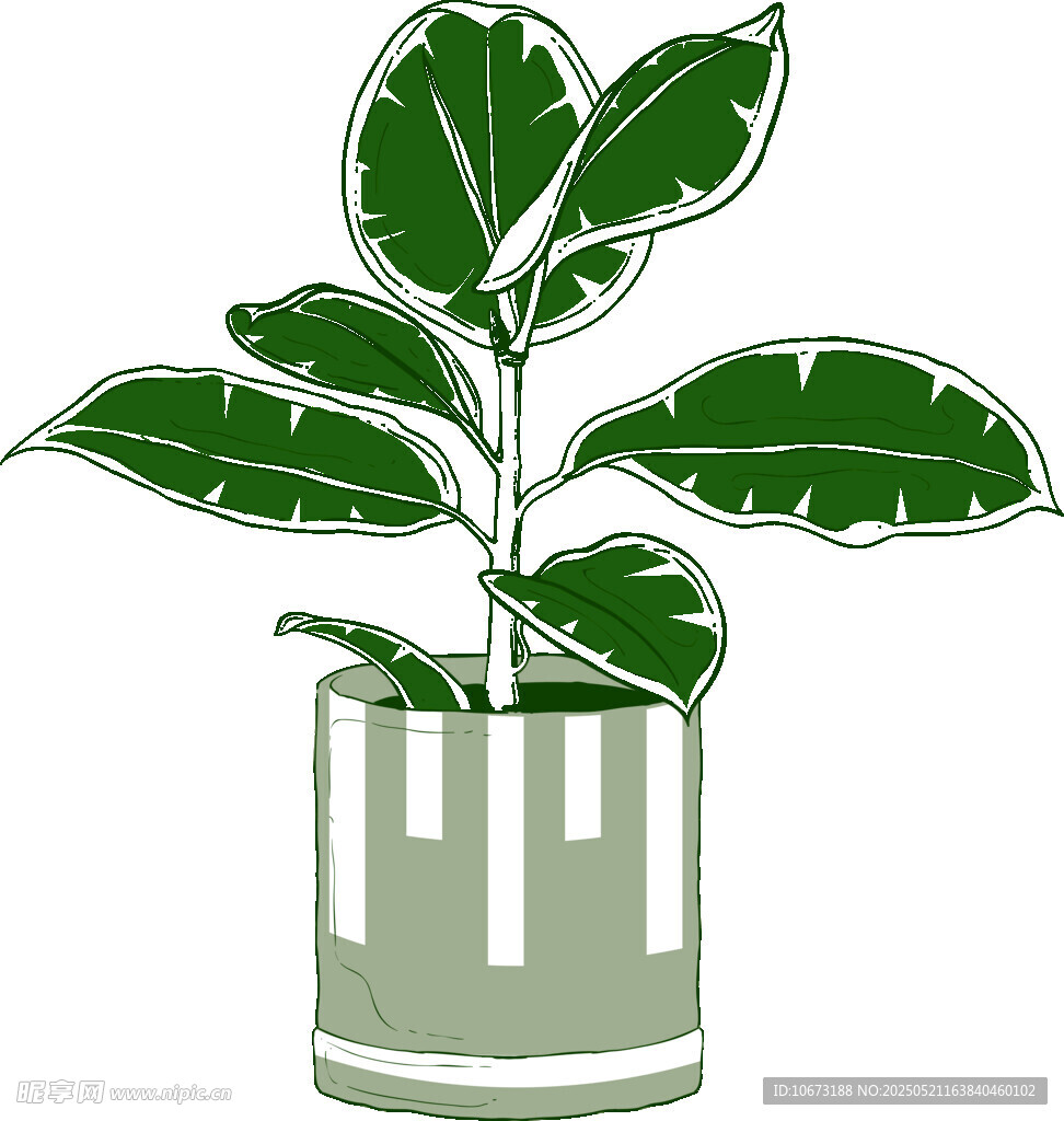盆栽绿植插画