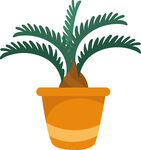 盆栽苏铁植物插画
