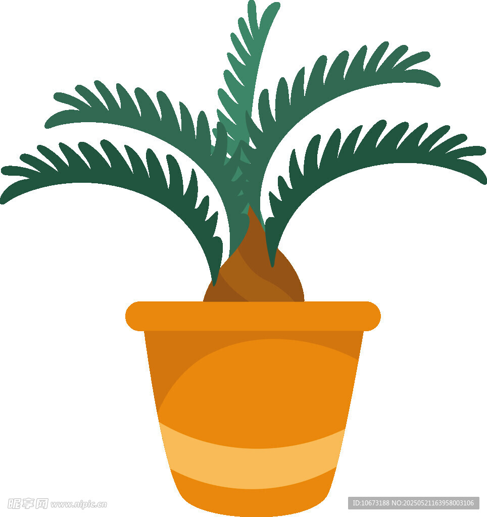 盆栽苏铁植物插画