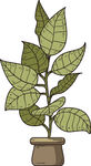 盆栽绿植插画