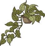 藤蔓绿植装饰图案