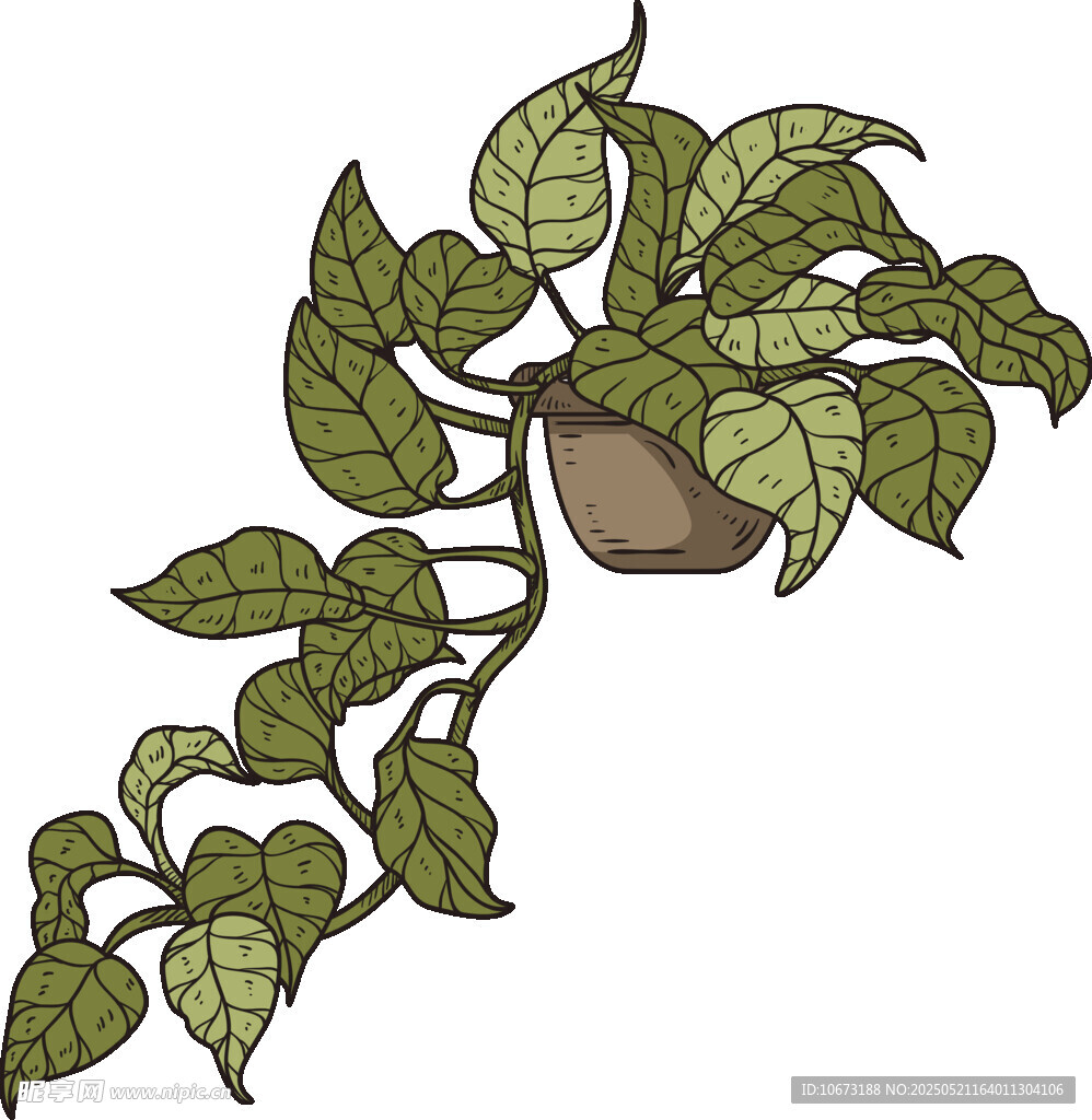 藤蔓绿植装饰图案