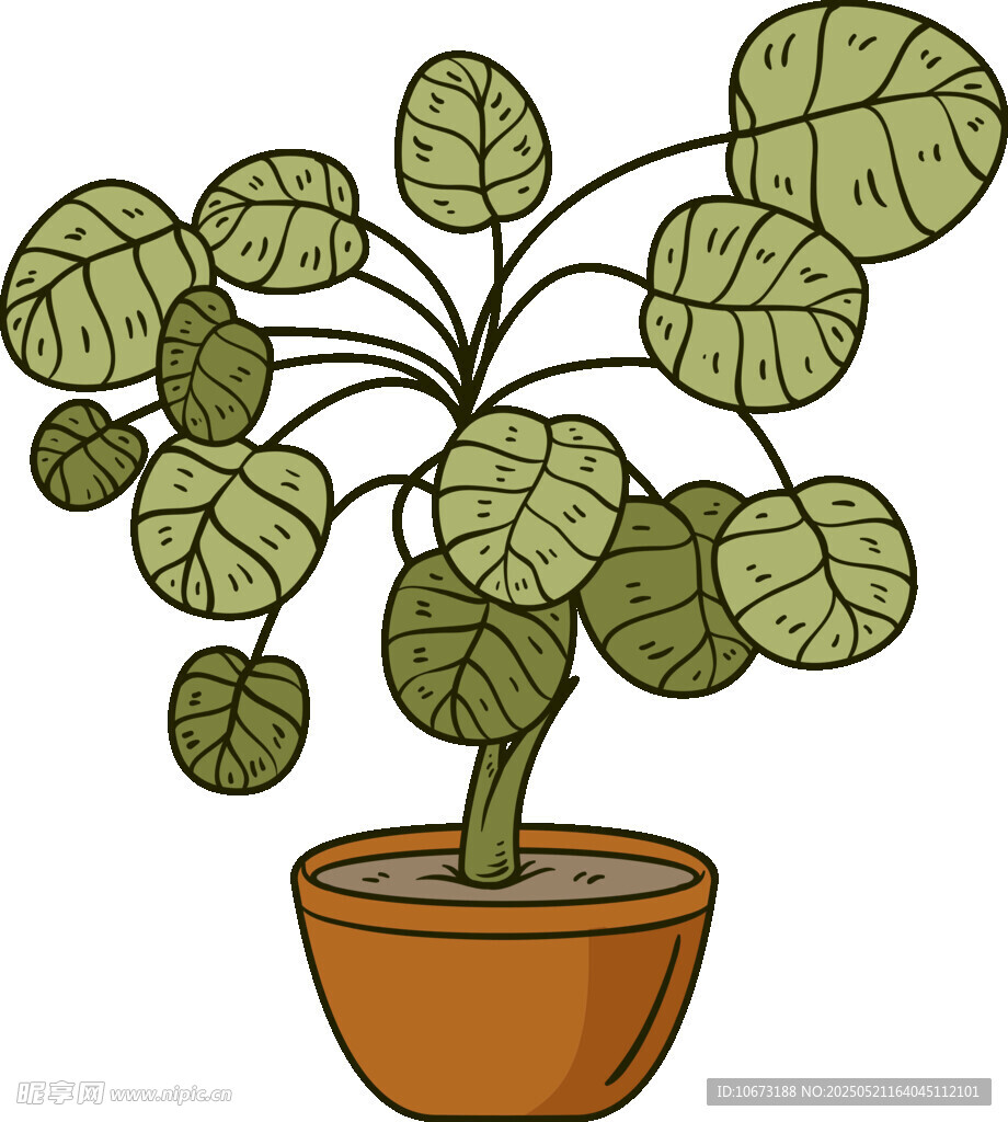 盆栽绿植插画