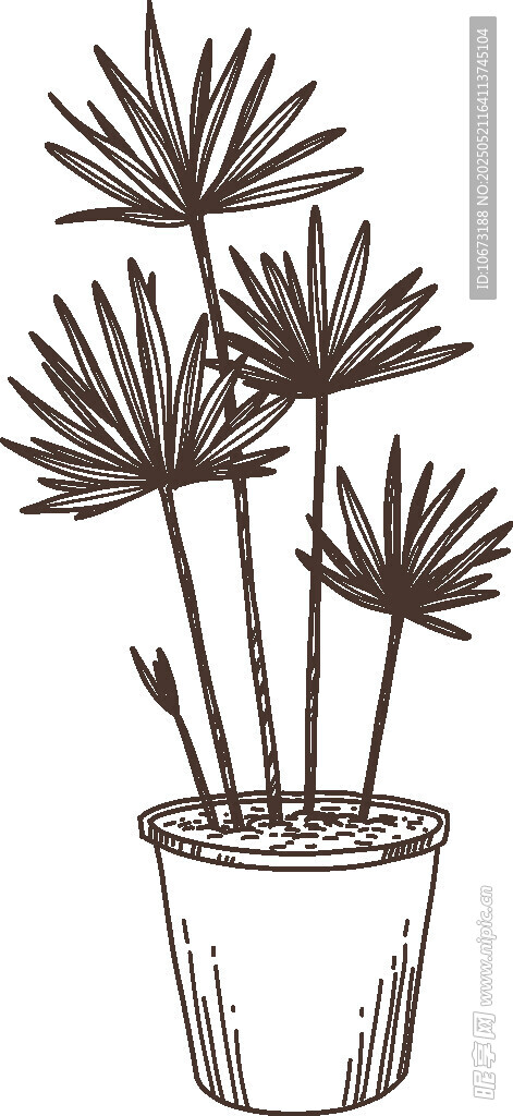 盆栽植物线条插画