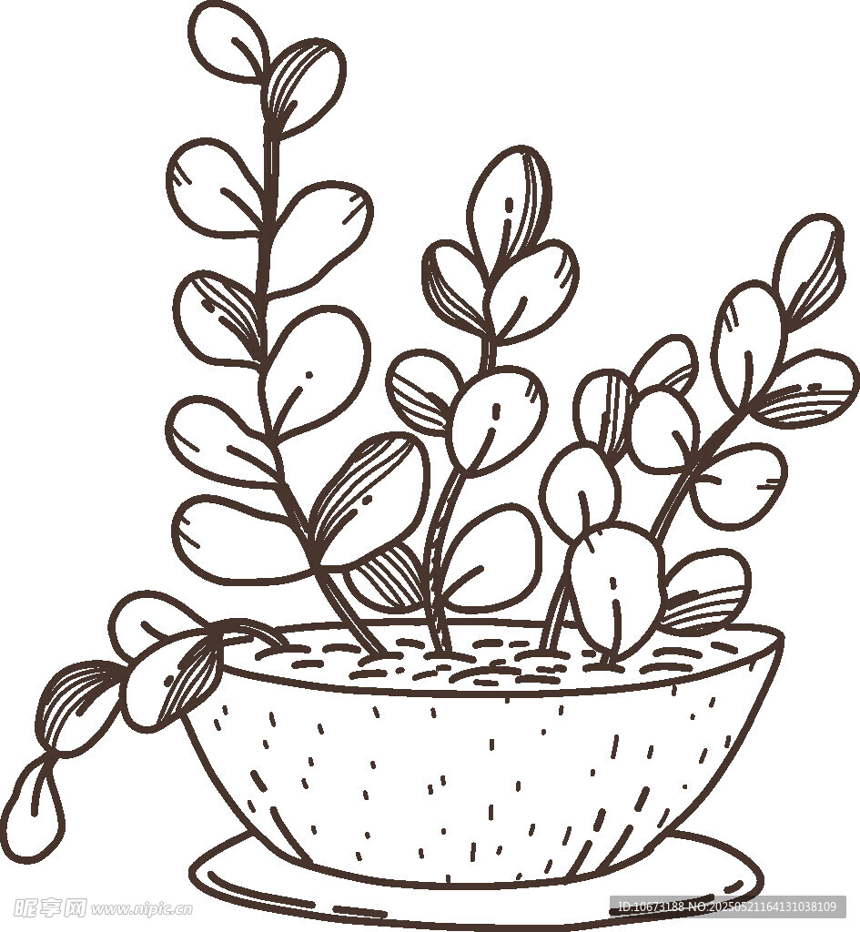 手绘盆栽植物插画