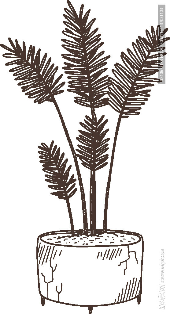 盆栽植物简约线条插画