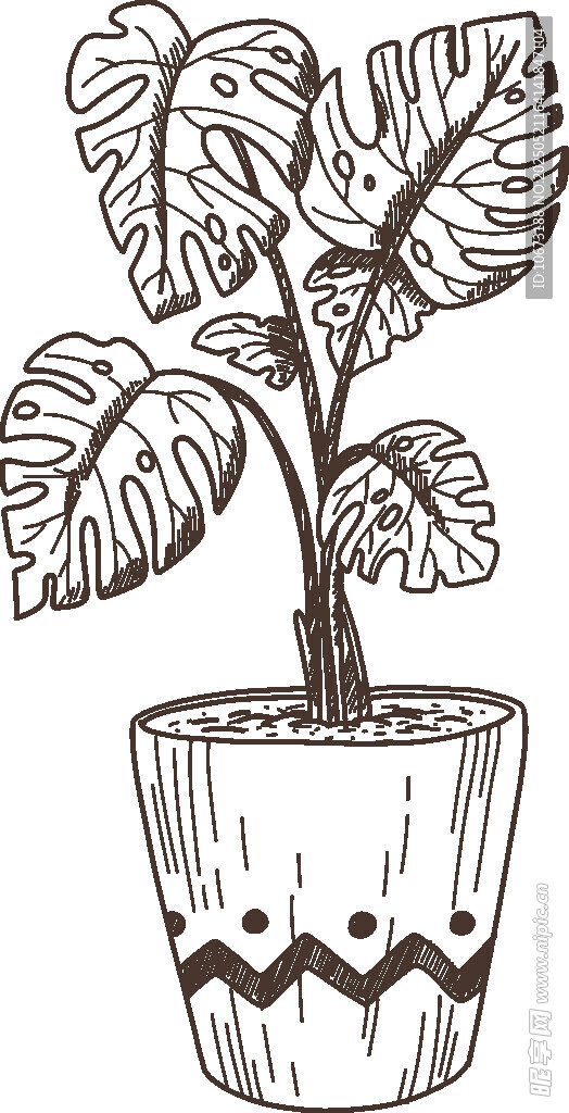 盆栽植物手绘插画