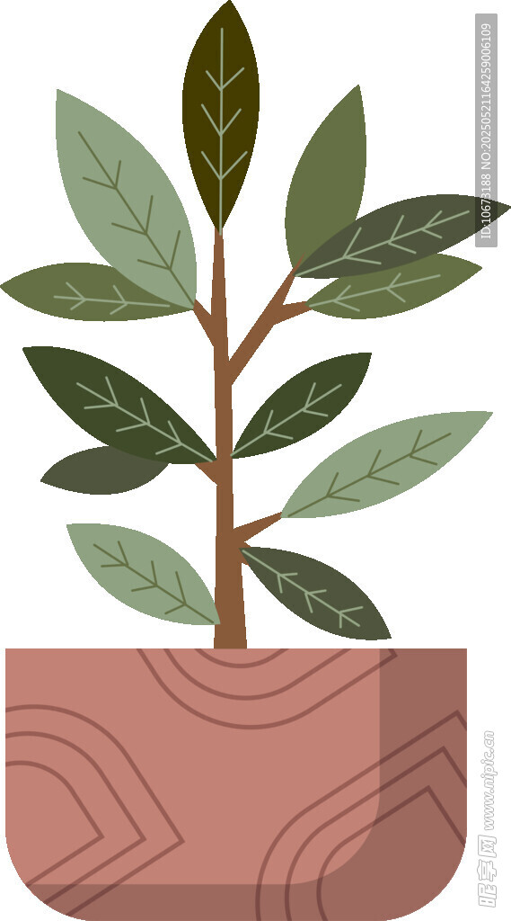 盆栽绿植插画