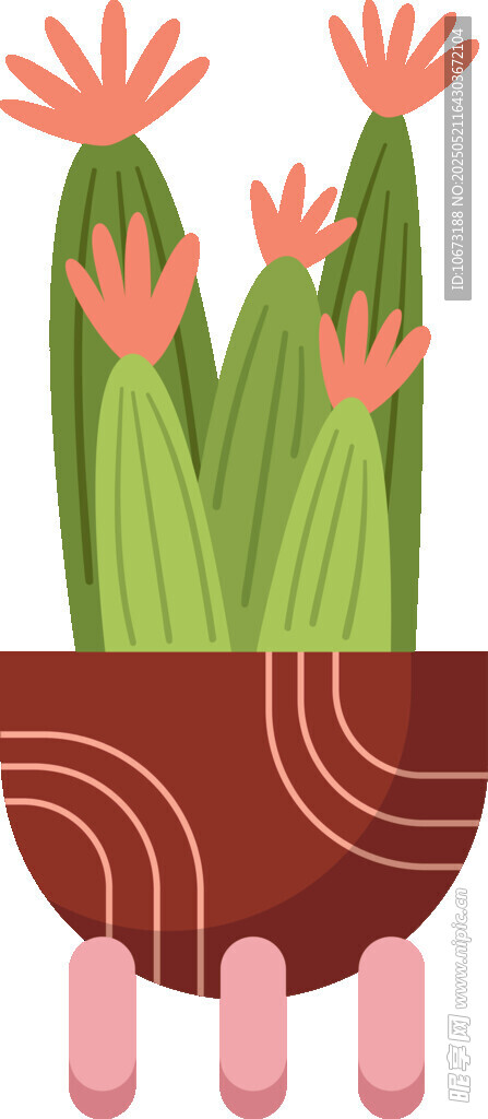 花盆中绽放的多彩花朵