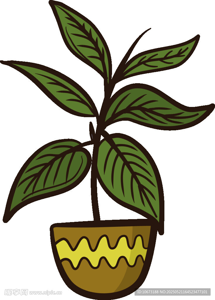 盆栽绿植插画