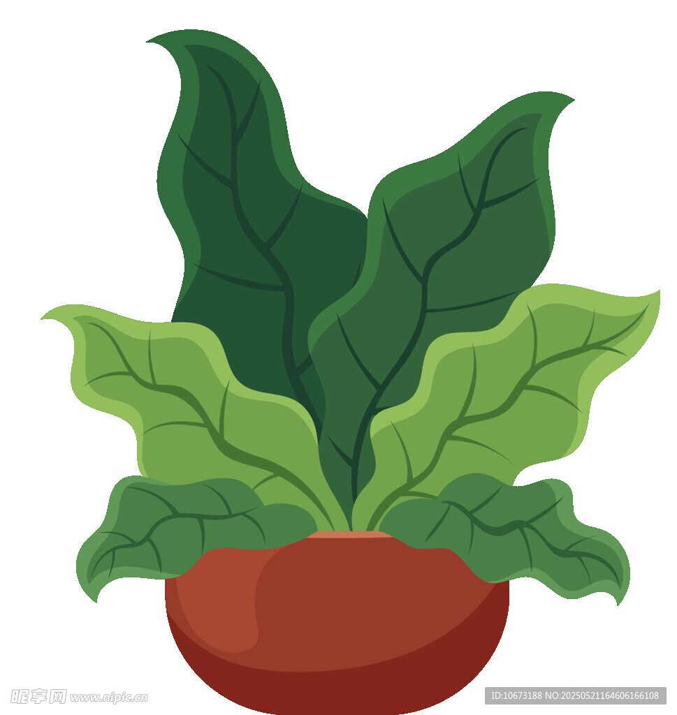 盆栽绿植插画