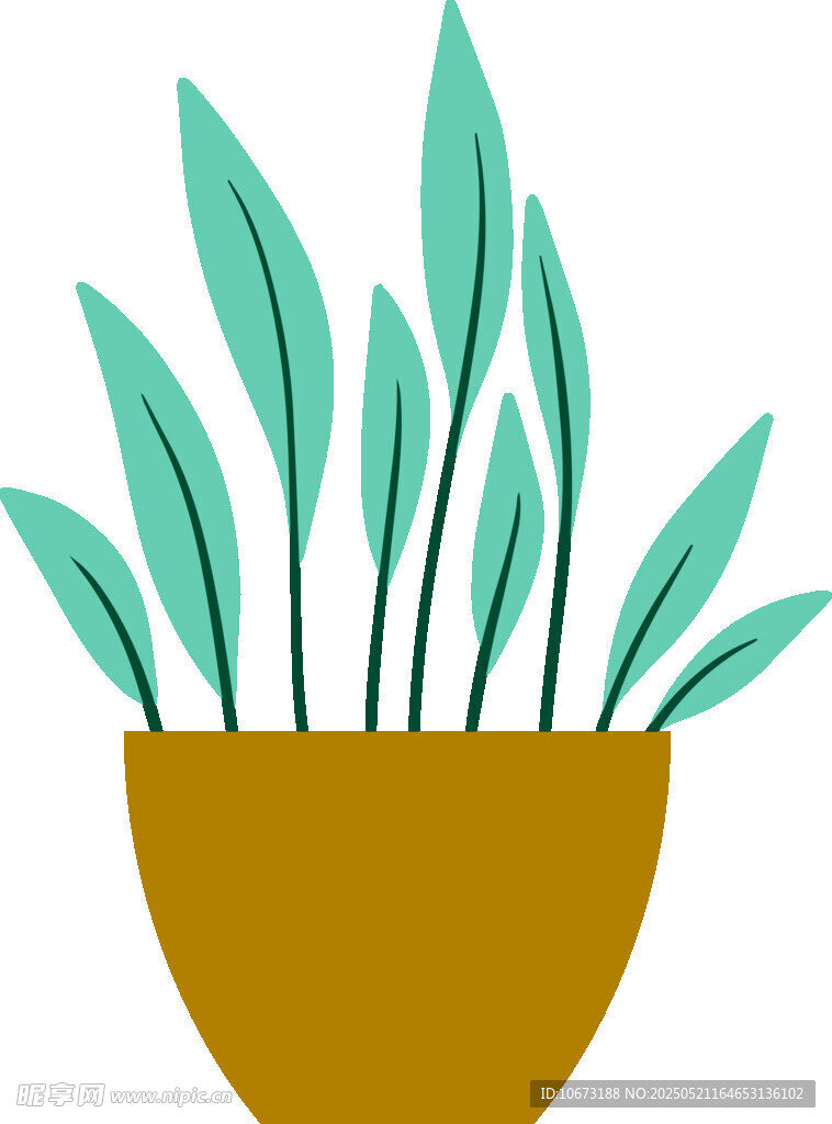 盆栽绿植插画
