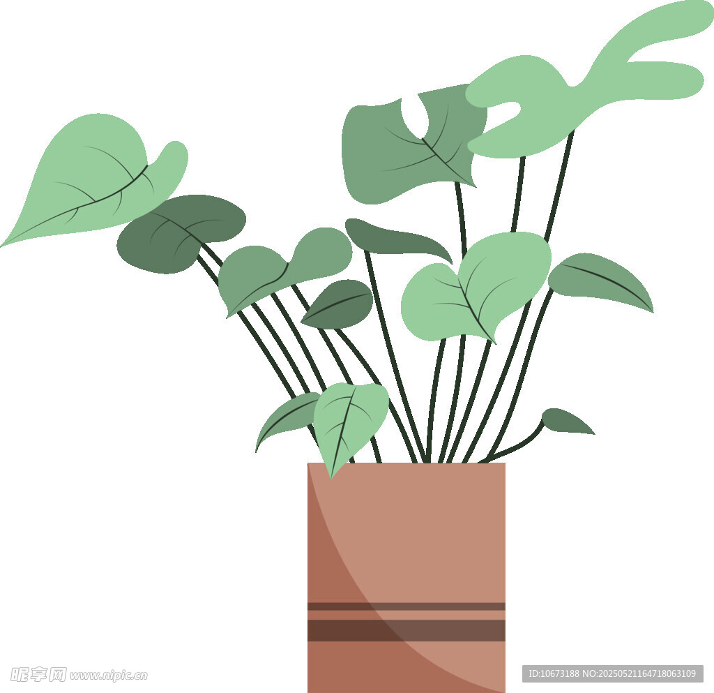 简约风盆栽植物插画