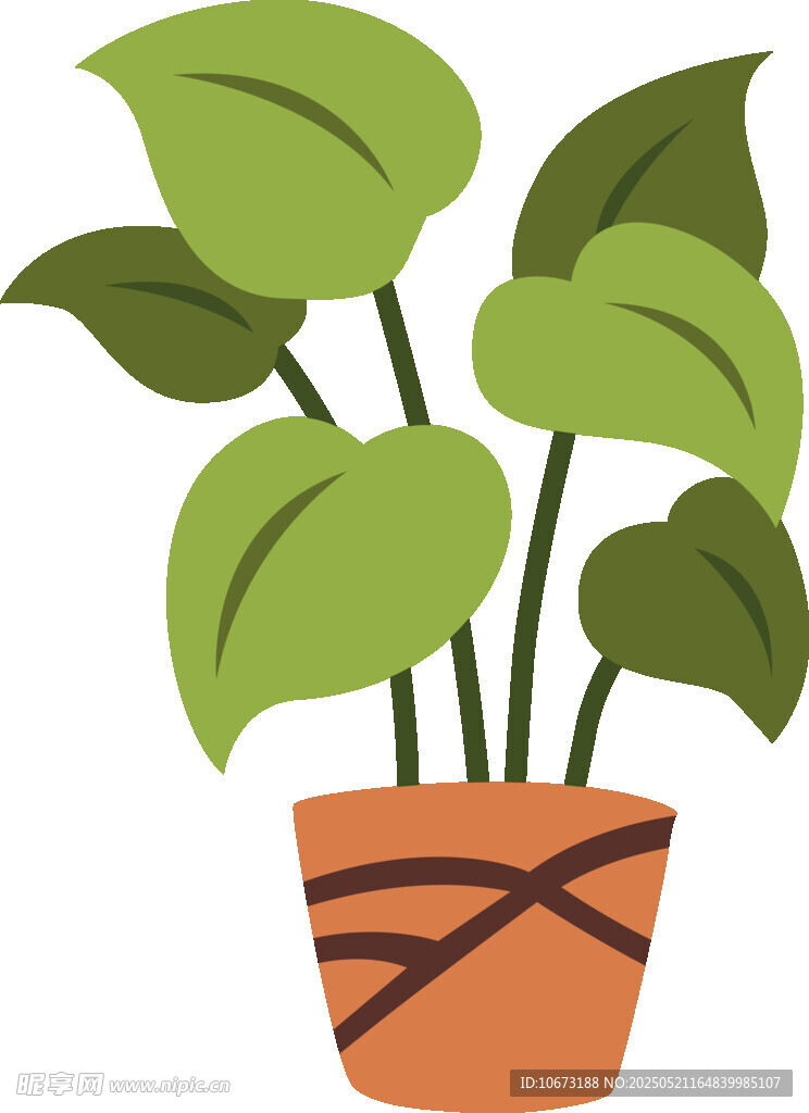 盆栽绿植插画
